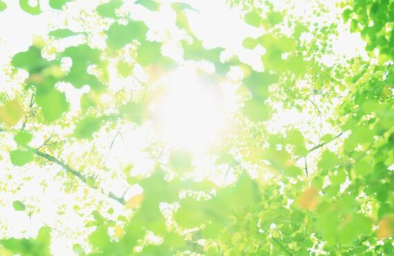 幼児教室をお探しの方へ｜福岡県若松区で習い事ならS.パワー☆キッズプログラム